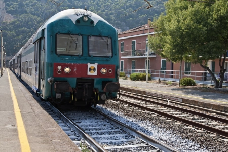 貓咪搭乘火車，如何安全又舒適地托運”